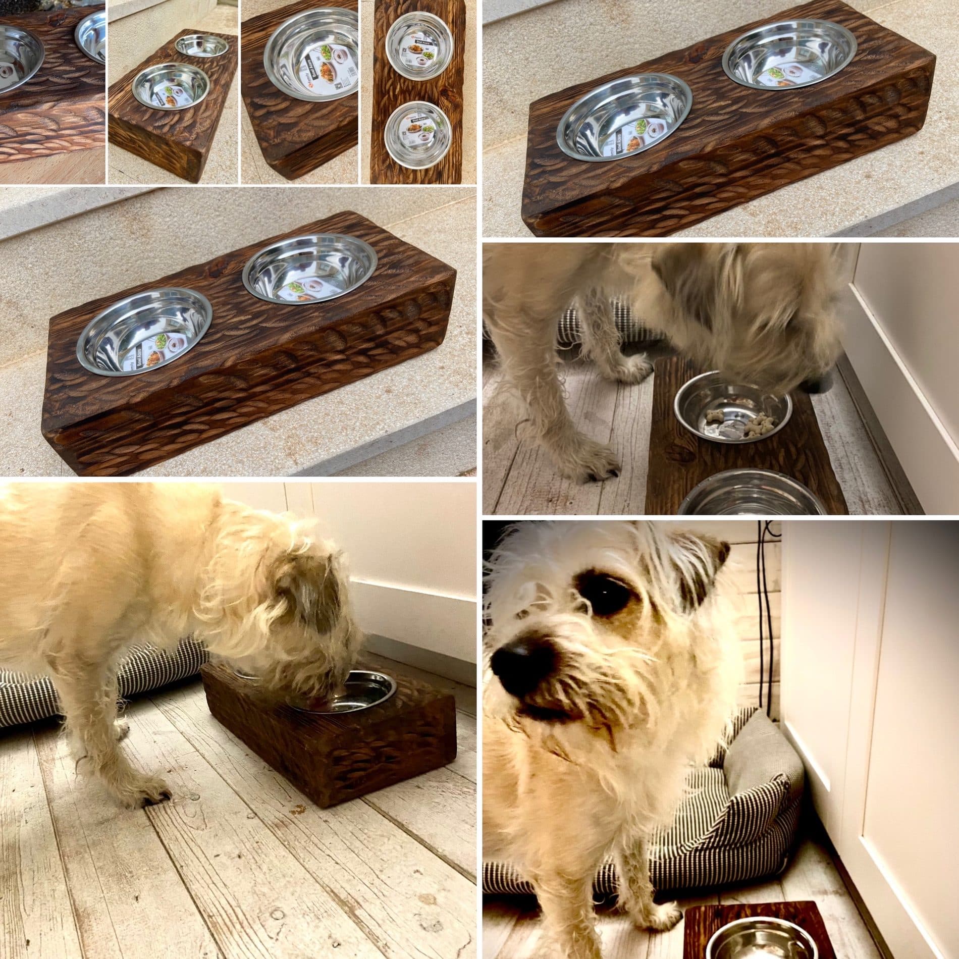 Pet stations